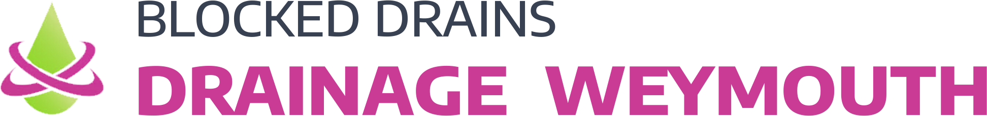 website logo